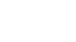 nsa logo